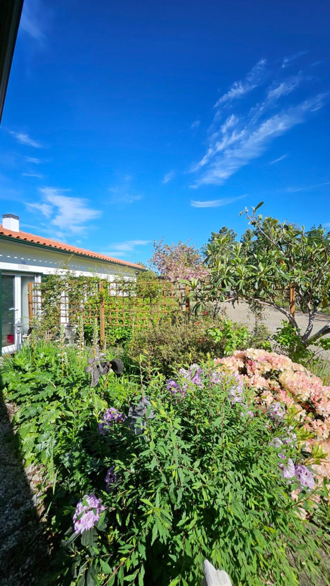 Coja Mountain Perch Villa Vinho  Exterior foto